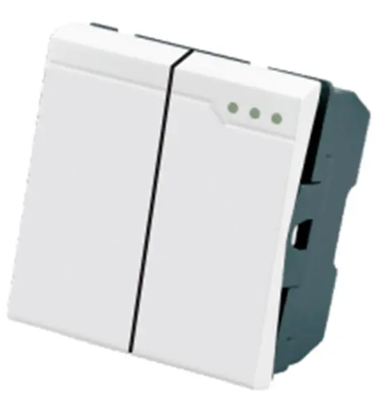 22 interruptor de pared 118-005 2gang1way